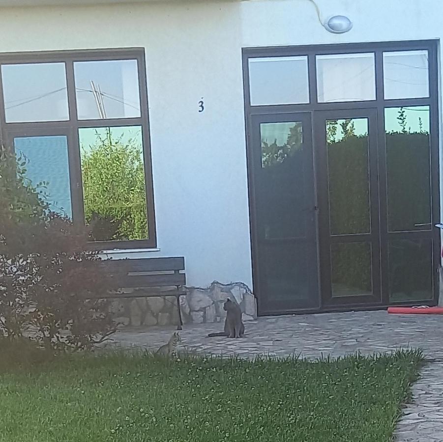 Villa Ketli Apartment Bliznatsi Экстерьер фото